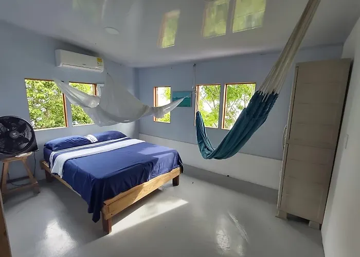 Bellavista - Blue Lizard Studio